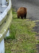 20230421_065924.jpg